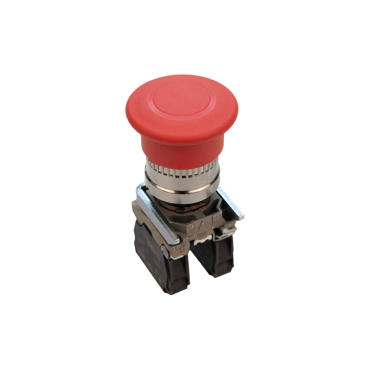 jacページ J181979_alt10?obj=car&fit=fit,