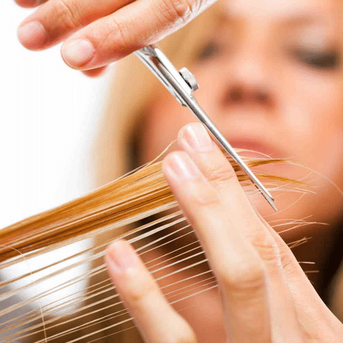 Scissors and Texturizers