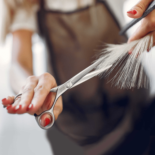 Shears
