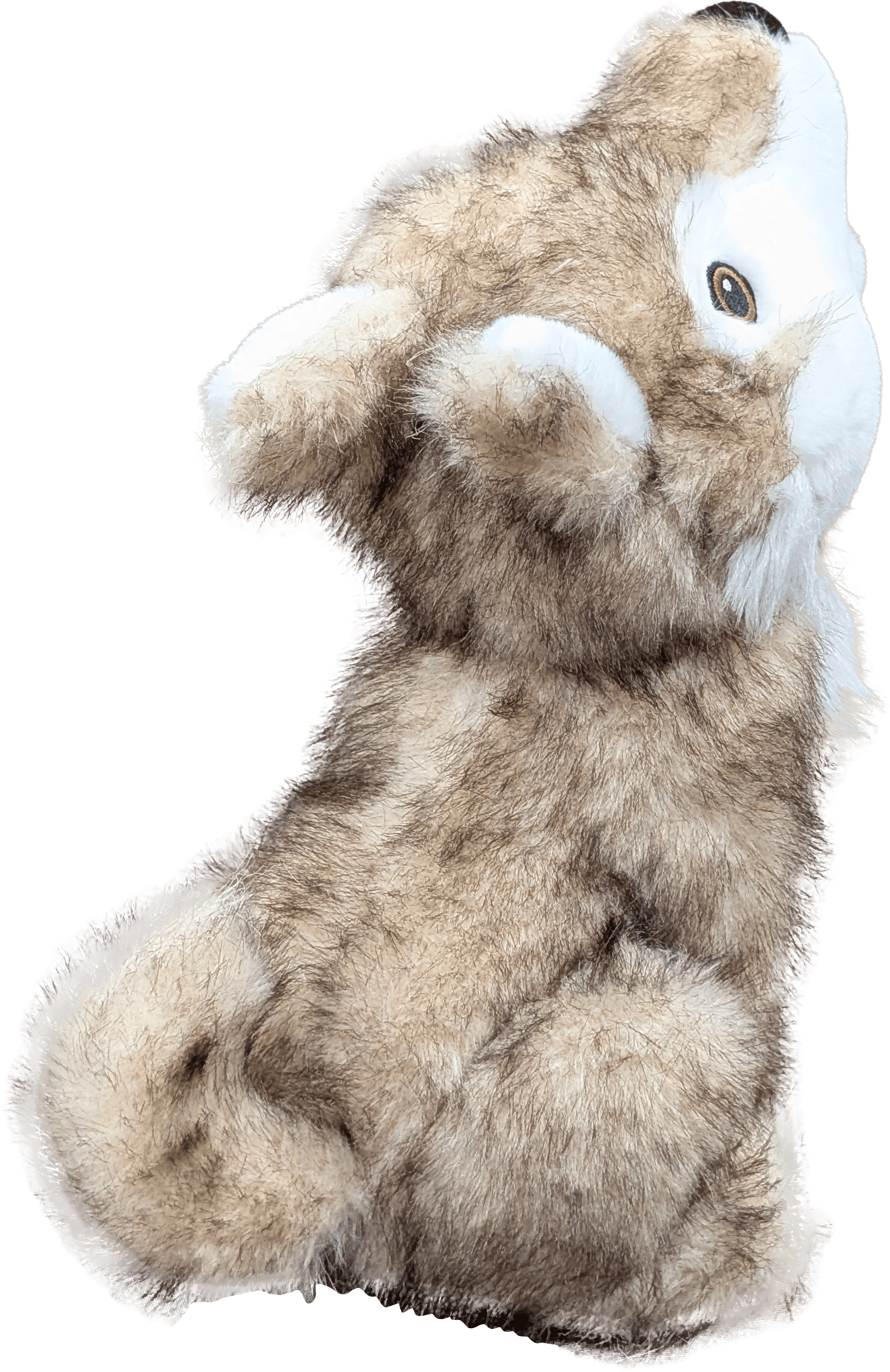 新品希少 【アザラシ】The Stuffed Animal House カナダ アザラシ