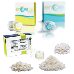 Allograft Bone Particulate