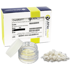 Cancellous Bone