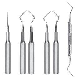Root Tip Picks
