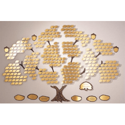 Donor Tree