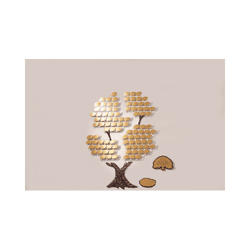 Donor Recognition Products