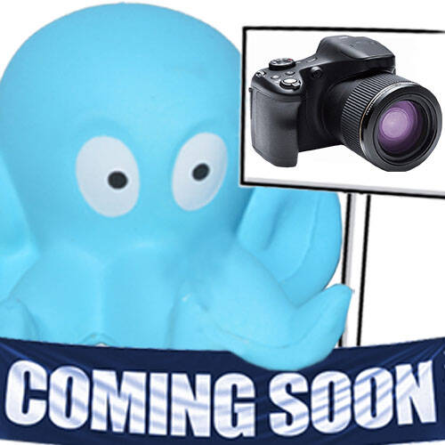 Categories Central Spa and Pool Supply