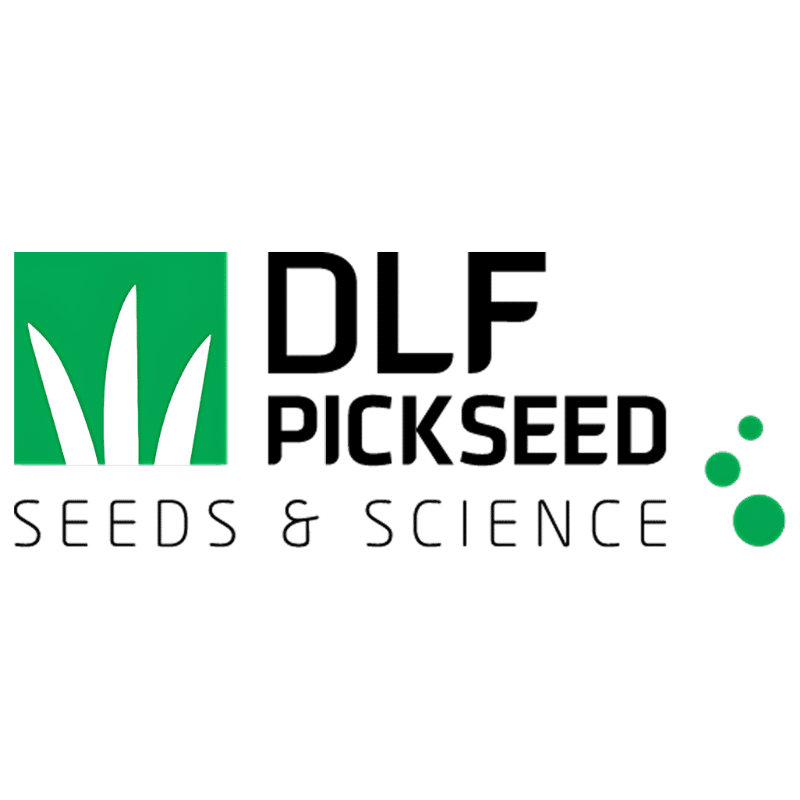 DLF PICK SEED