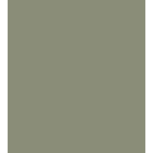 Art Spectrum Smooth Pastel Paper - Olive Green, 19.5x27.5 (Pack
