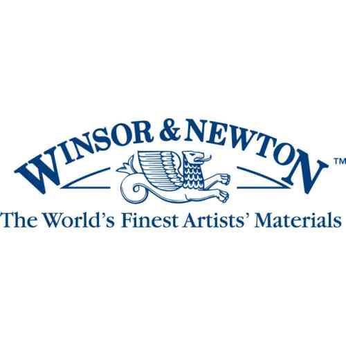 Winsor & Newton Vine Charcoal (12/pk)
