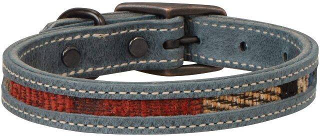 Indigo 2024 dog collar