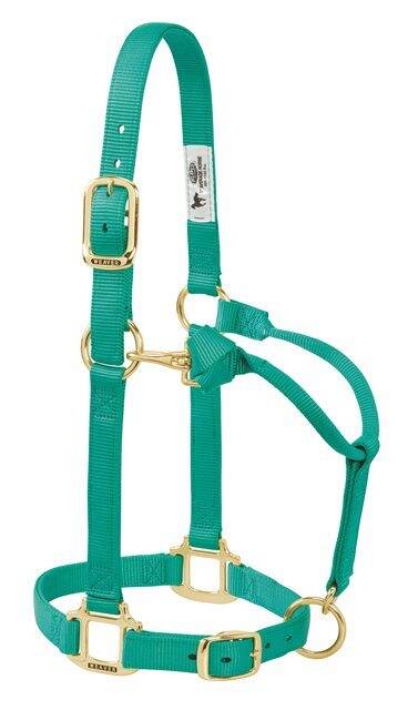 Weaver Leather Original Non-Adjustable Nylon Horse Halter Medium - The Horse  Barn