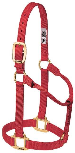 Classic western raw leather halter with carabiner hook from