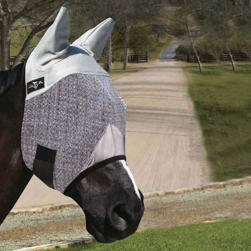 Fly Masks & Boots