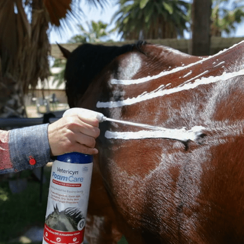 Equine Supplements and Care
