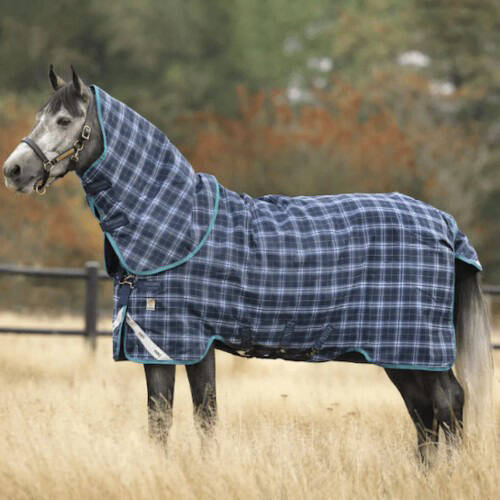 Horsewear