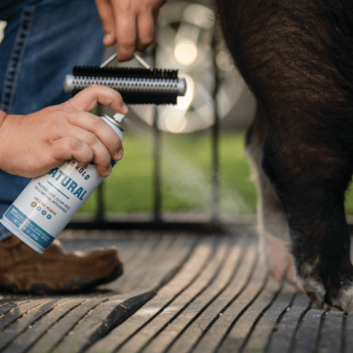Pet and livestock supplies on sale