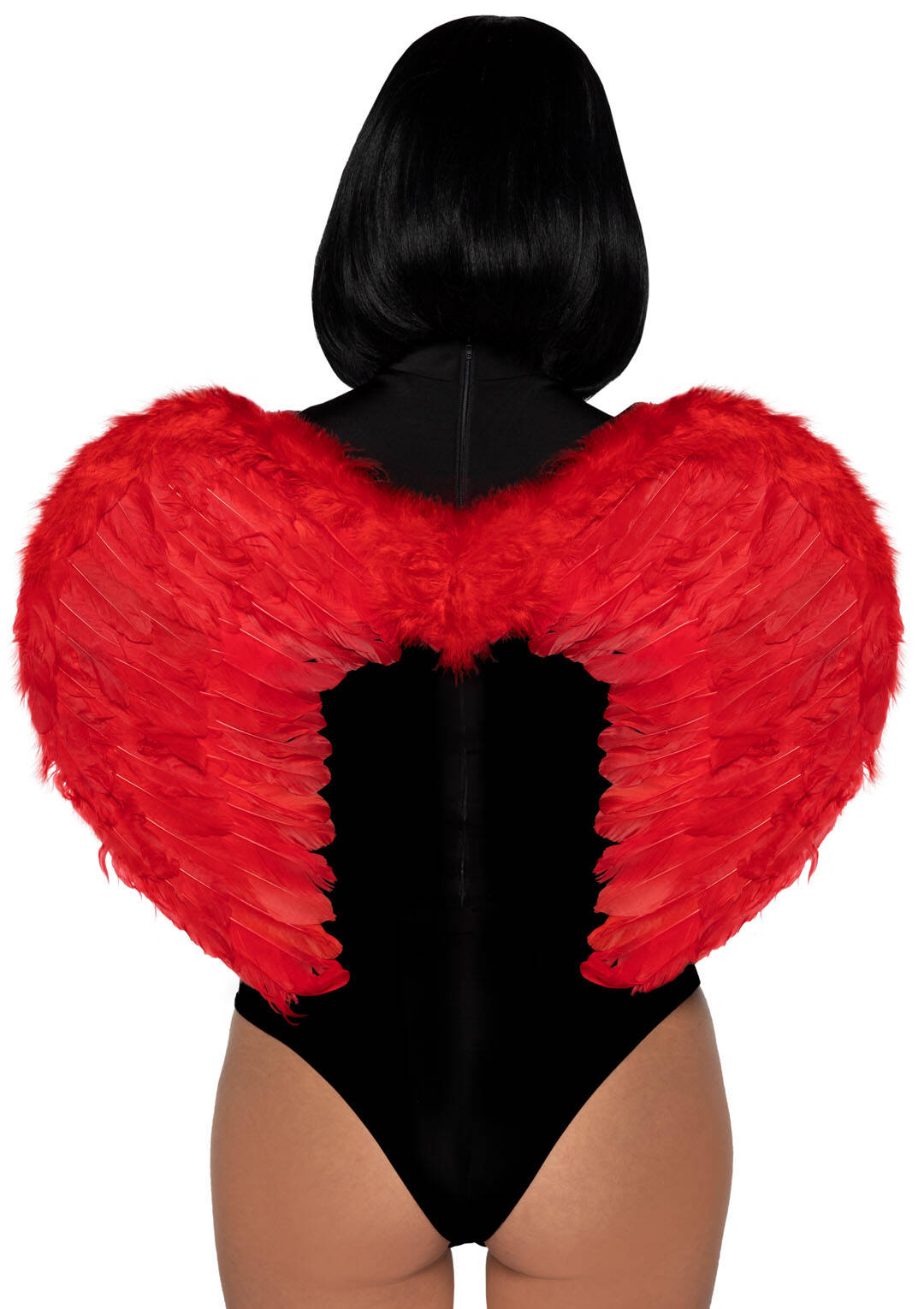 WINGS